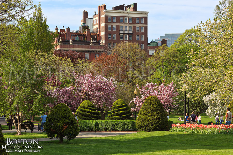 Boston Common in spring