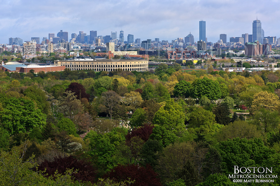 Boston Skyline from the tower at Mount Auburn Cemetery