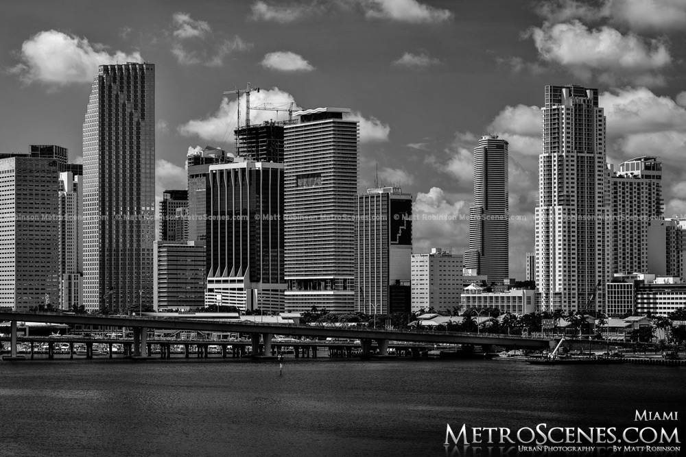 Miami Skyline Black and White