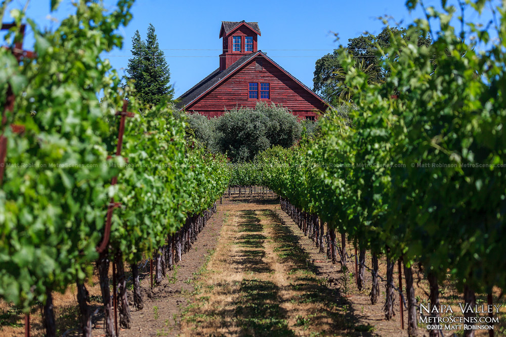 Turnbull Winery in Napa Valley