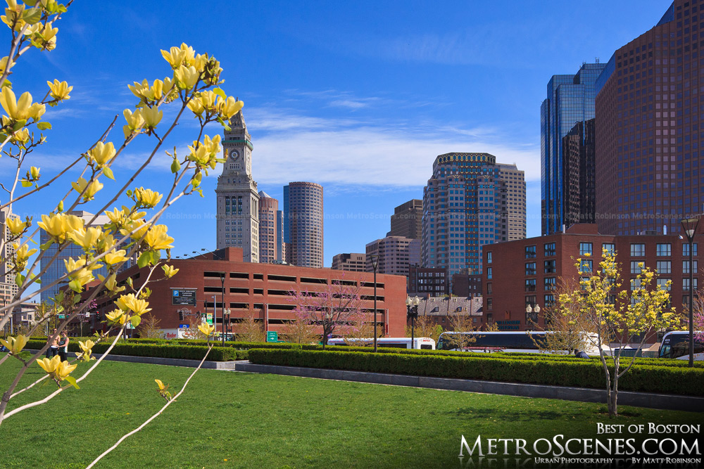 Boston in the springtime