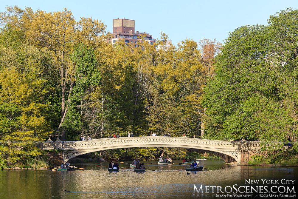 Bow Bridge in Central Park
