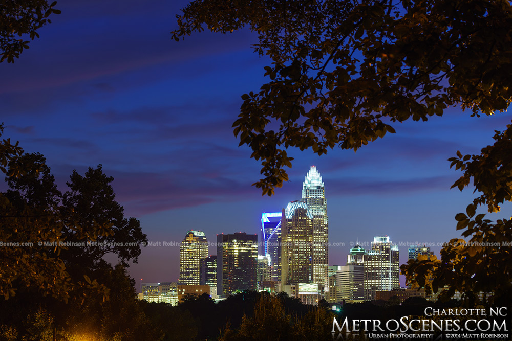 Trees frame the Skyline of Charlotte from Cordelia Park