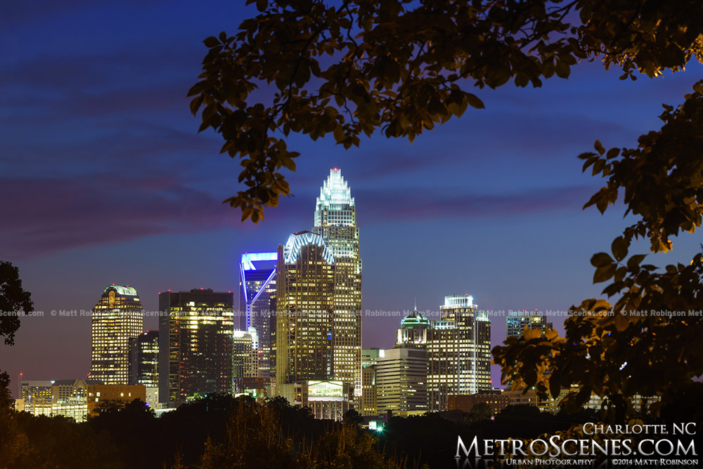 Cordelia Park view of Charlotte at night