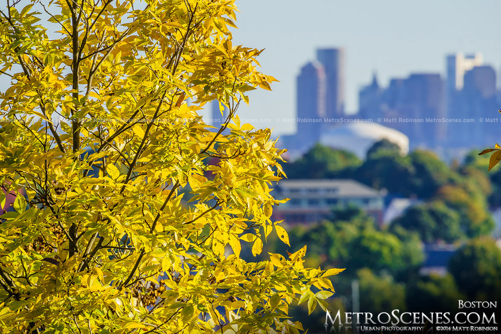 Early Fall colors with a distant Boston