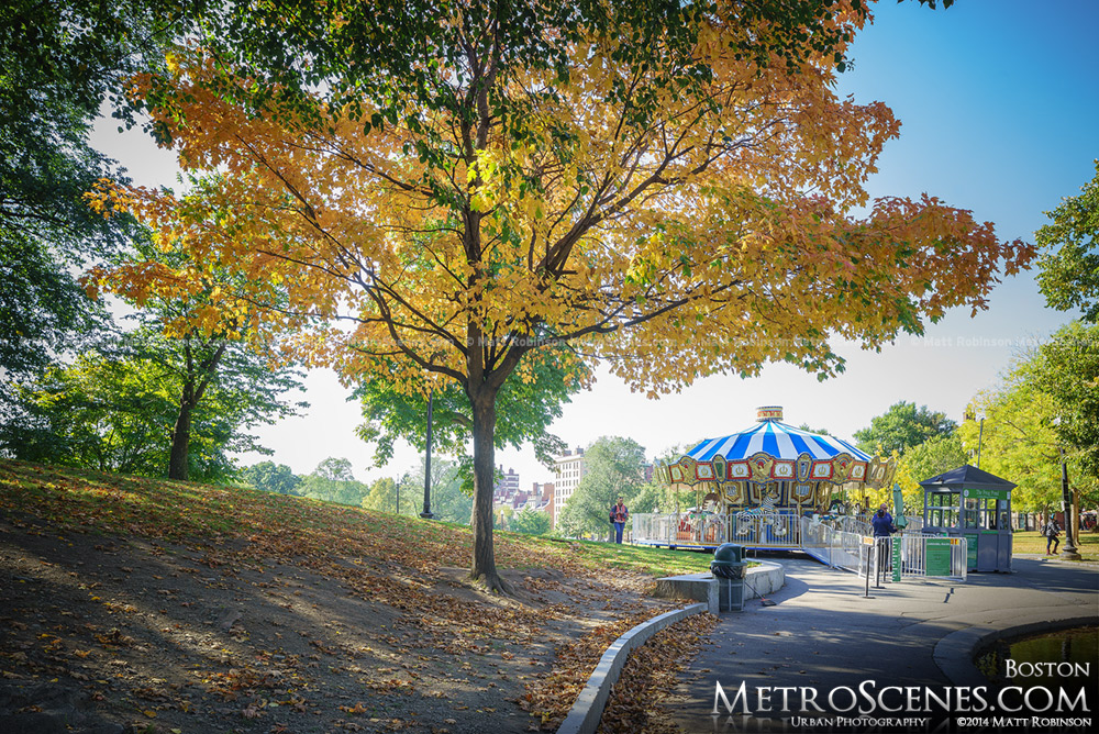 Fall colors in the Boston Common with Carousel 