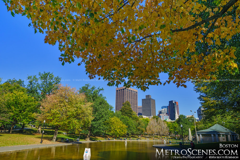 Boston Autumn Colors