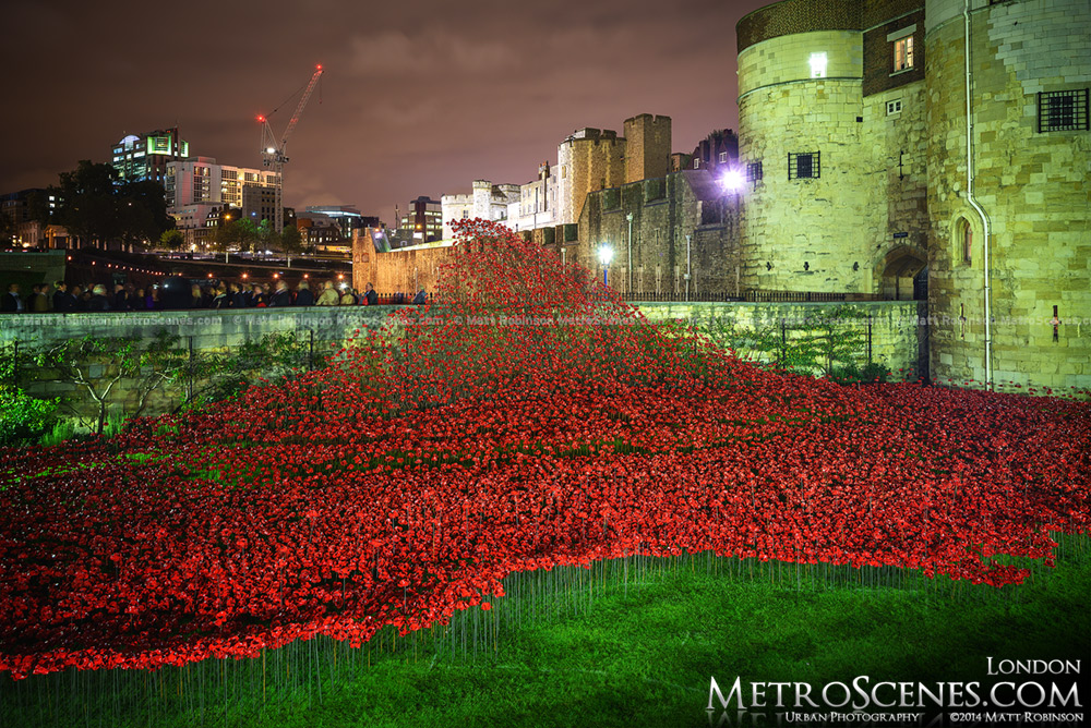 Sea of Poppies at the Tower of London