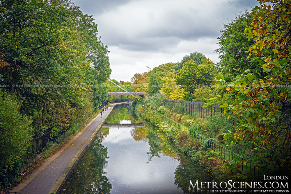 Autumn leaves along Regent's Canal