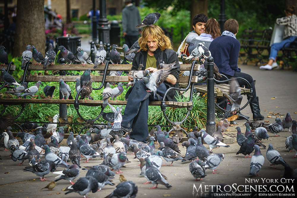 Pigeons cover a man in Washington Square Park