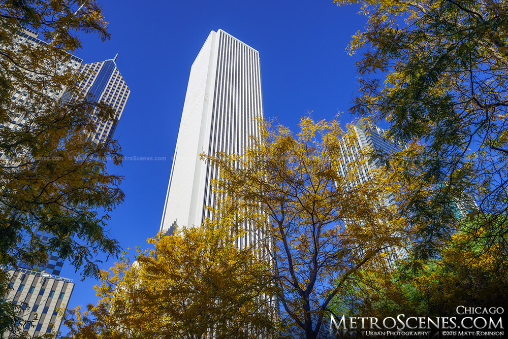 Aon Center with Fall Leaves