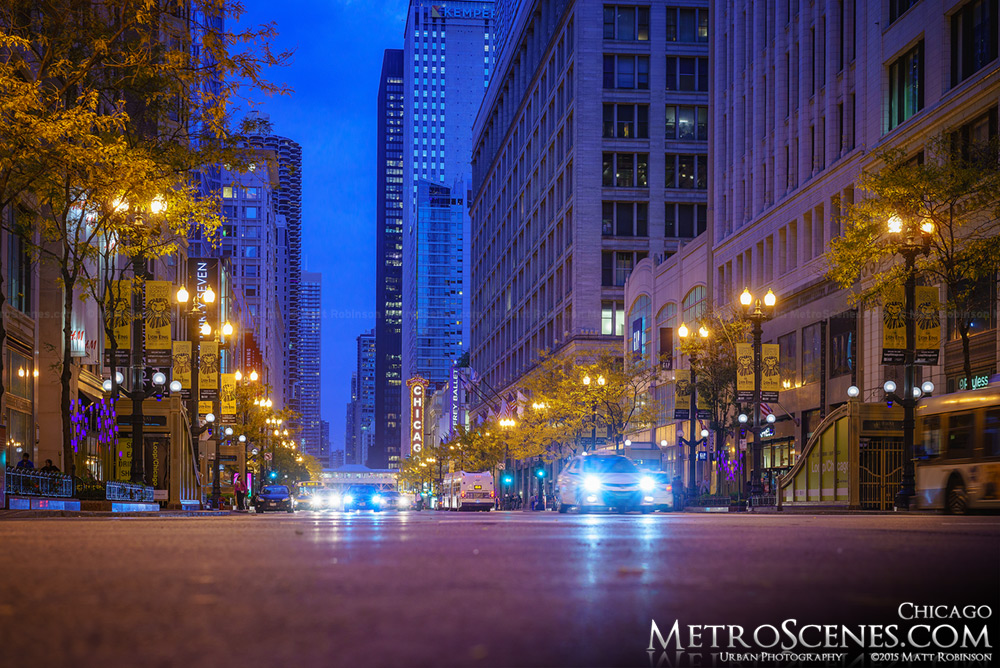 State Street Chicago Scene at night