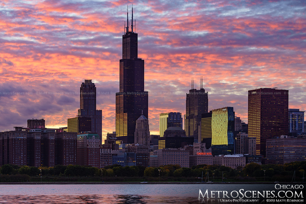 Chicago skyline with pink sunset