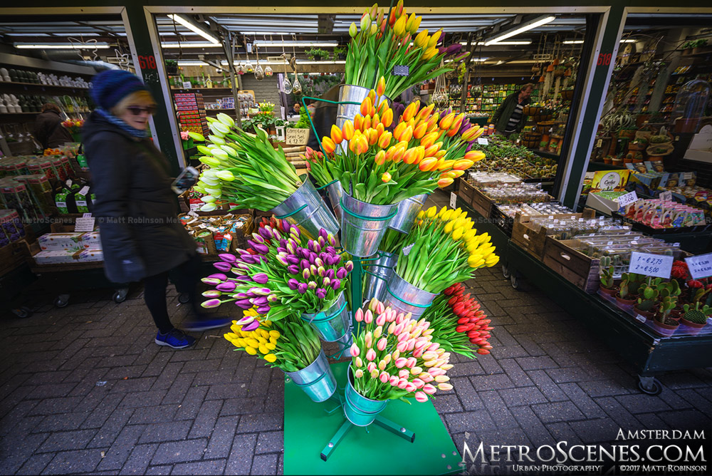 Tulips at Bloemenmarkt