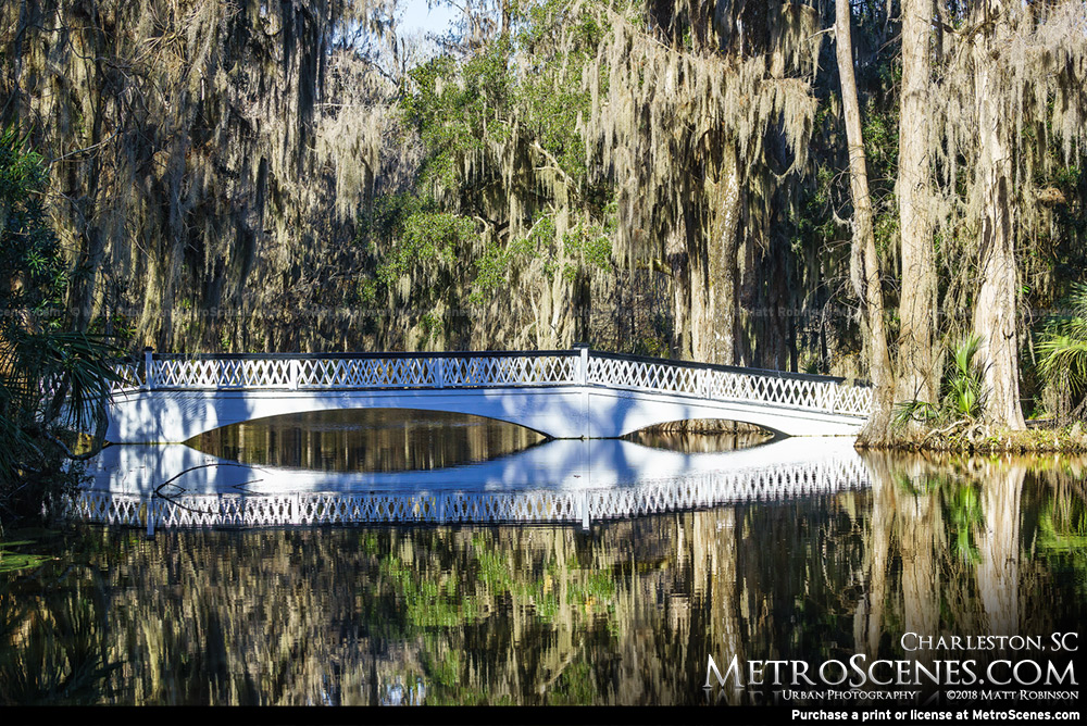 Bridge at Magnolia Plantation Charleston, SC