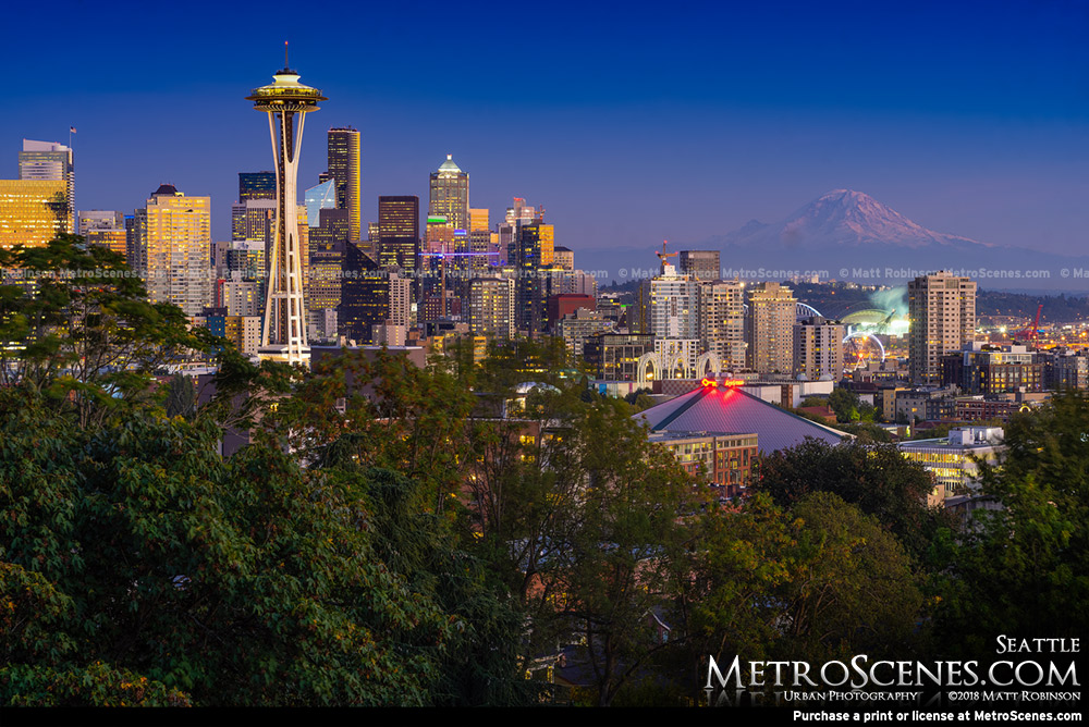 Seattle Skyline with Mt. Rainer and Space Needle at night