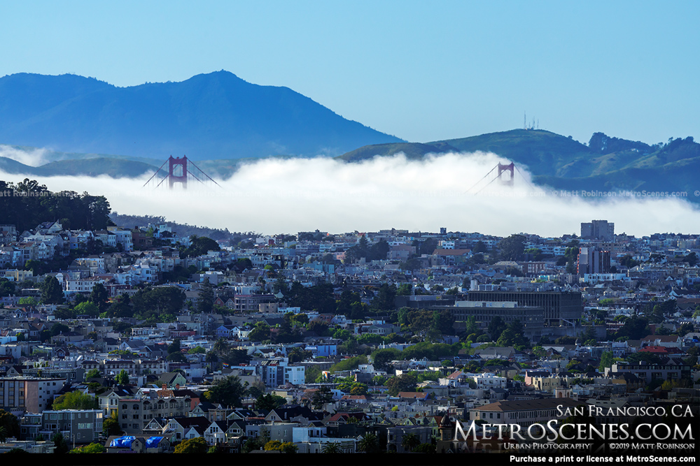 Fog enshrouds the Golden Gate Bridge